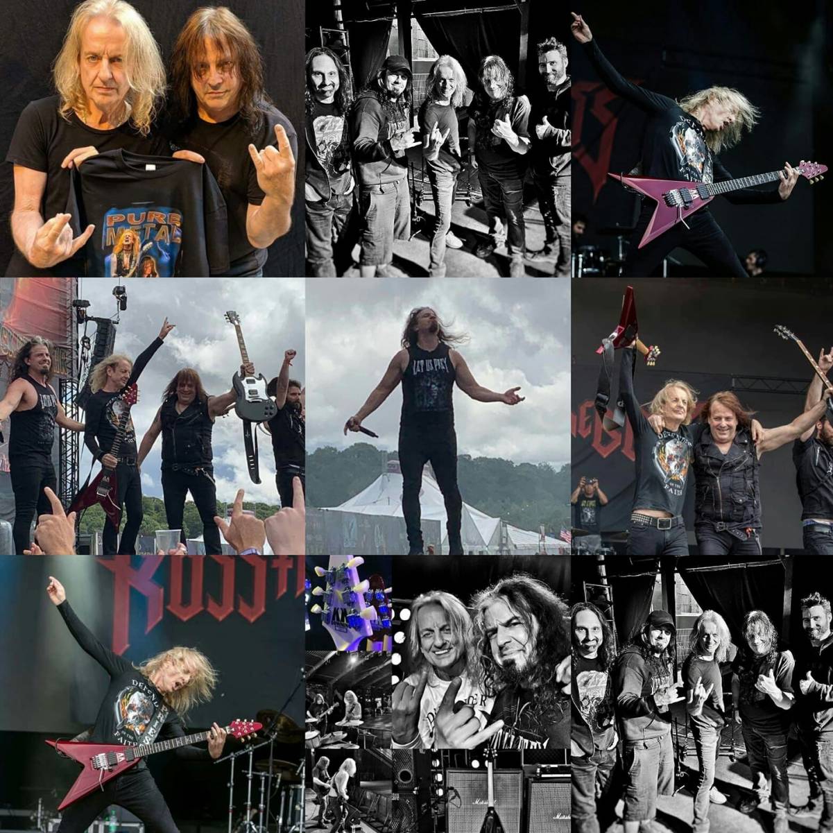 K.K. reports from Bloodstock !